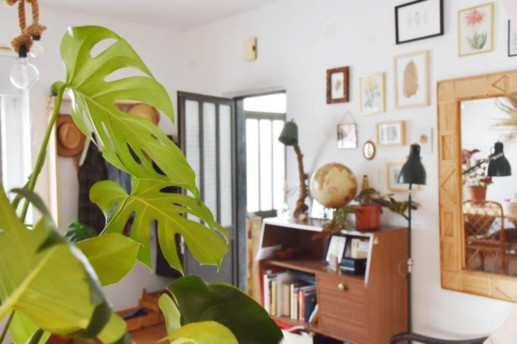 Bamboo House Aljezur Apartment Exterior photo