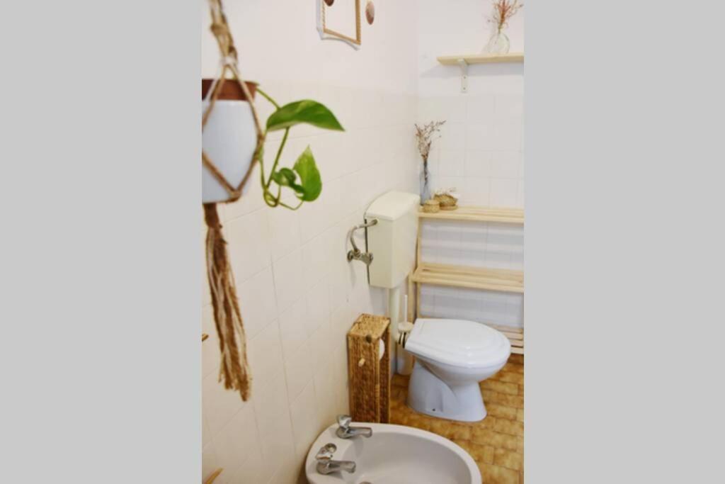 Bamboo House Aljezur Apartment Exterior photo